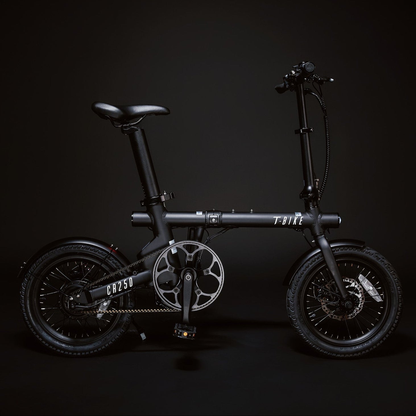 CR250 – Compact Rider Folding Electric Bike - Black