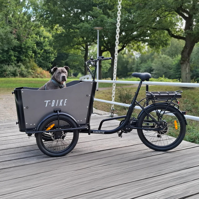 CARGO250 –  Folding Electric Bike